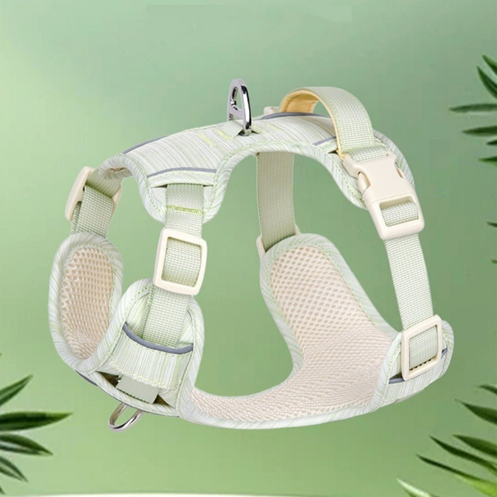 Corde de maintien des mains de chien