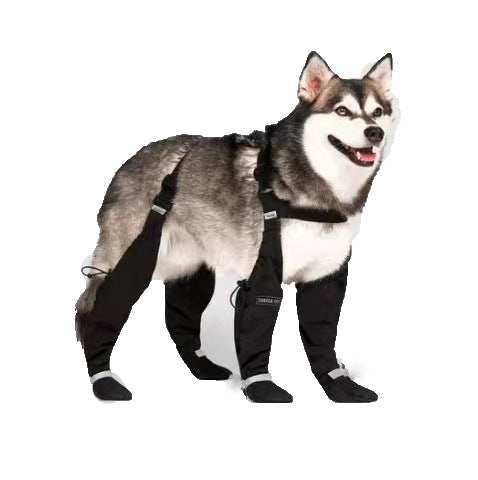Pet Supplies Anti-Dirty Dog Shoelace Bande réfléchissante