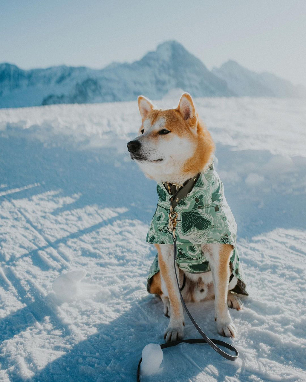 Veste en Coton Grand Chien imperméable à la neige chaude en automne et hiver