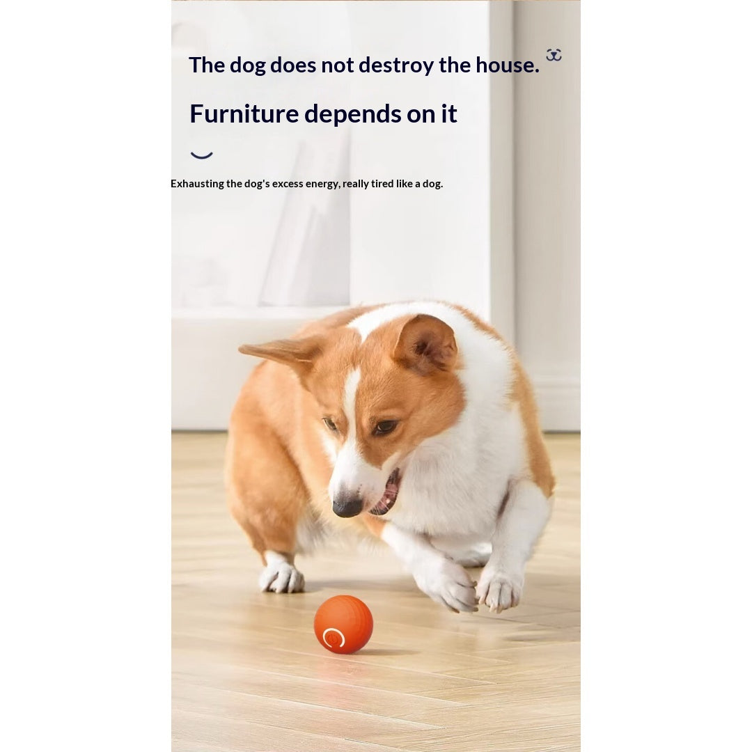 Boule de jouet électrique interactive pour chien gravitationnelle pour self-play