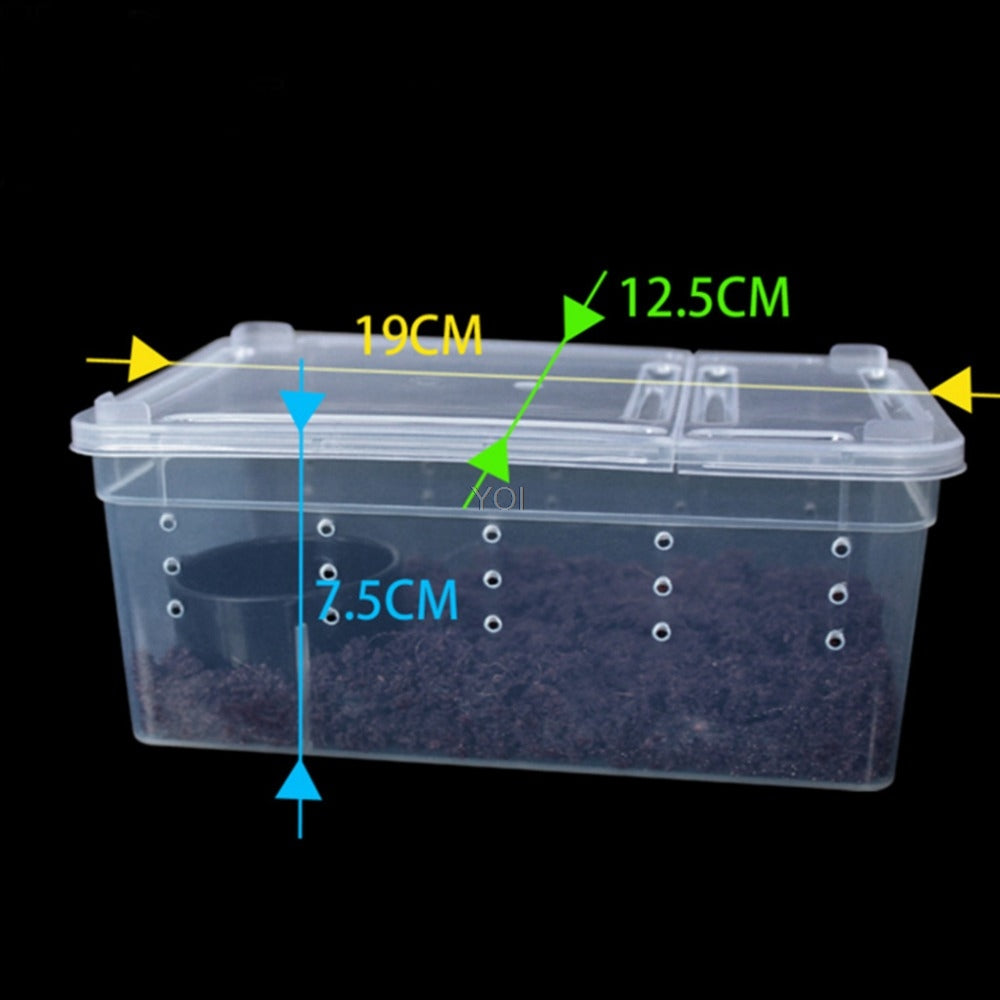 Boîte d'alimentation en plastique transparent reptile