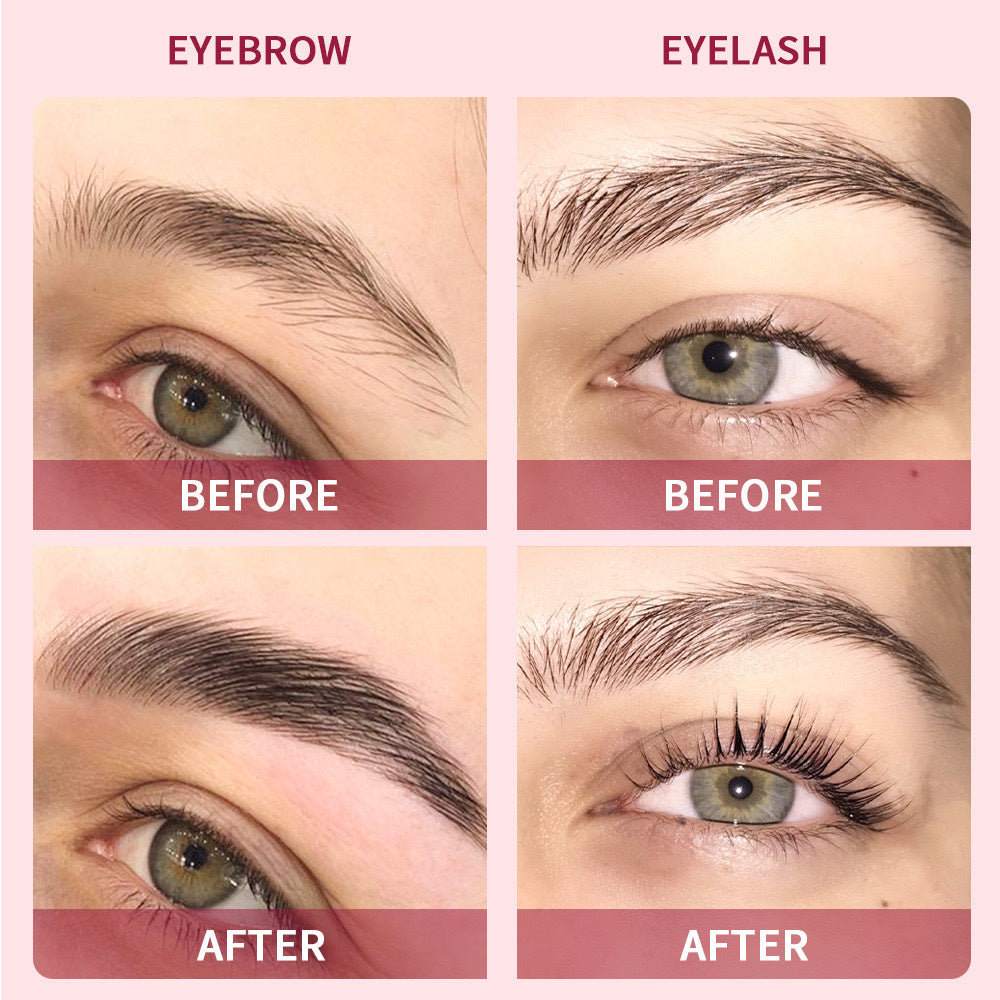 Kit de teinture semi-permanente des sourcils
