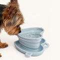 Pet Outdoor Bowl Portable Polding Silicone Bowl