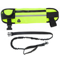 Entraînement pour animaux de compagnie Multi-Pocket Légère laisse