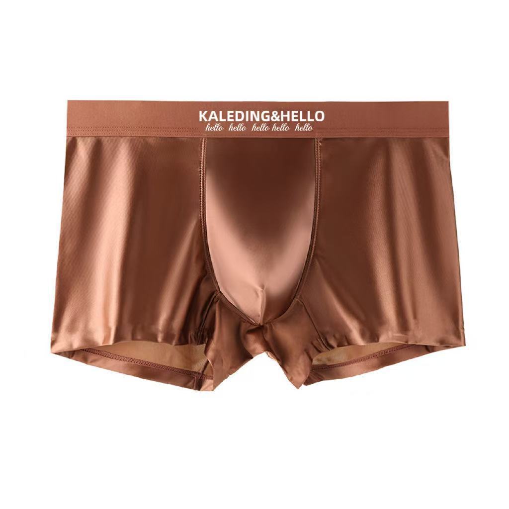 Satin Ice Silk Hommes Sous-vêtements