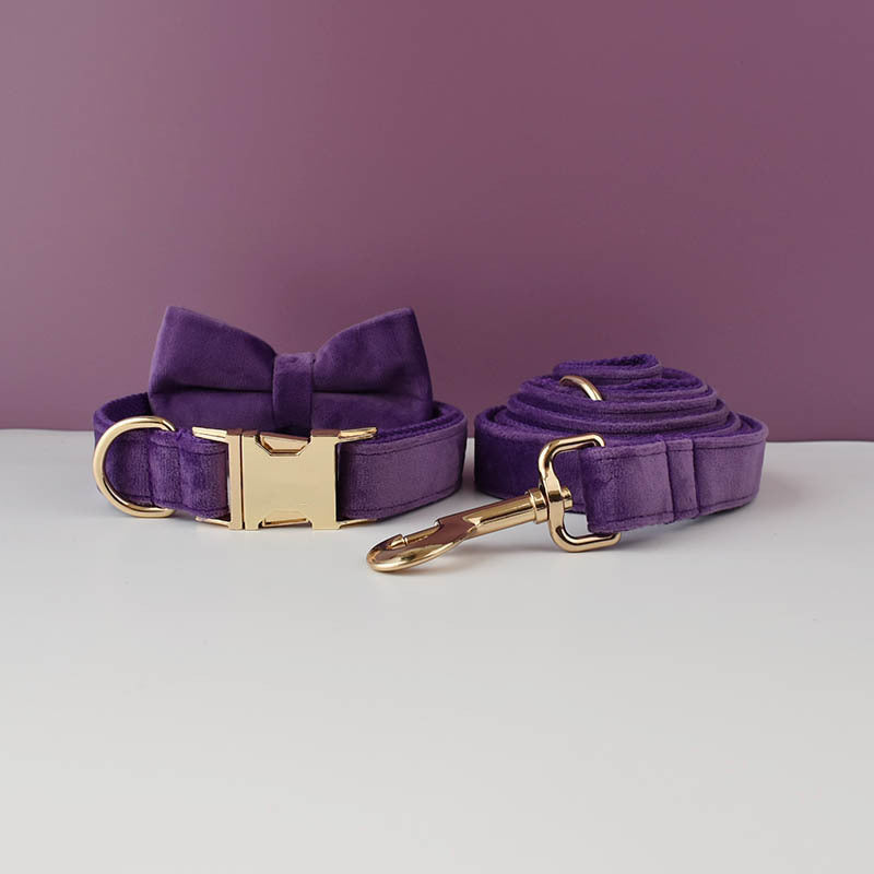 Collier de chien en peluche et fournitures pour animaux de compagnie en laisse