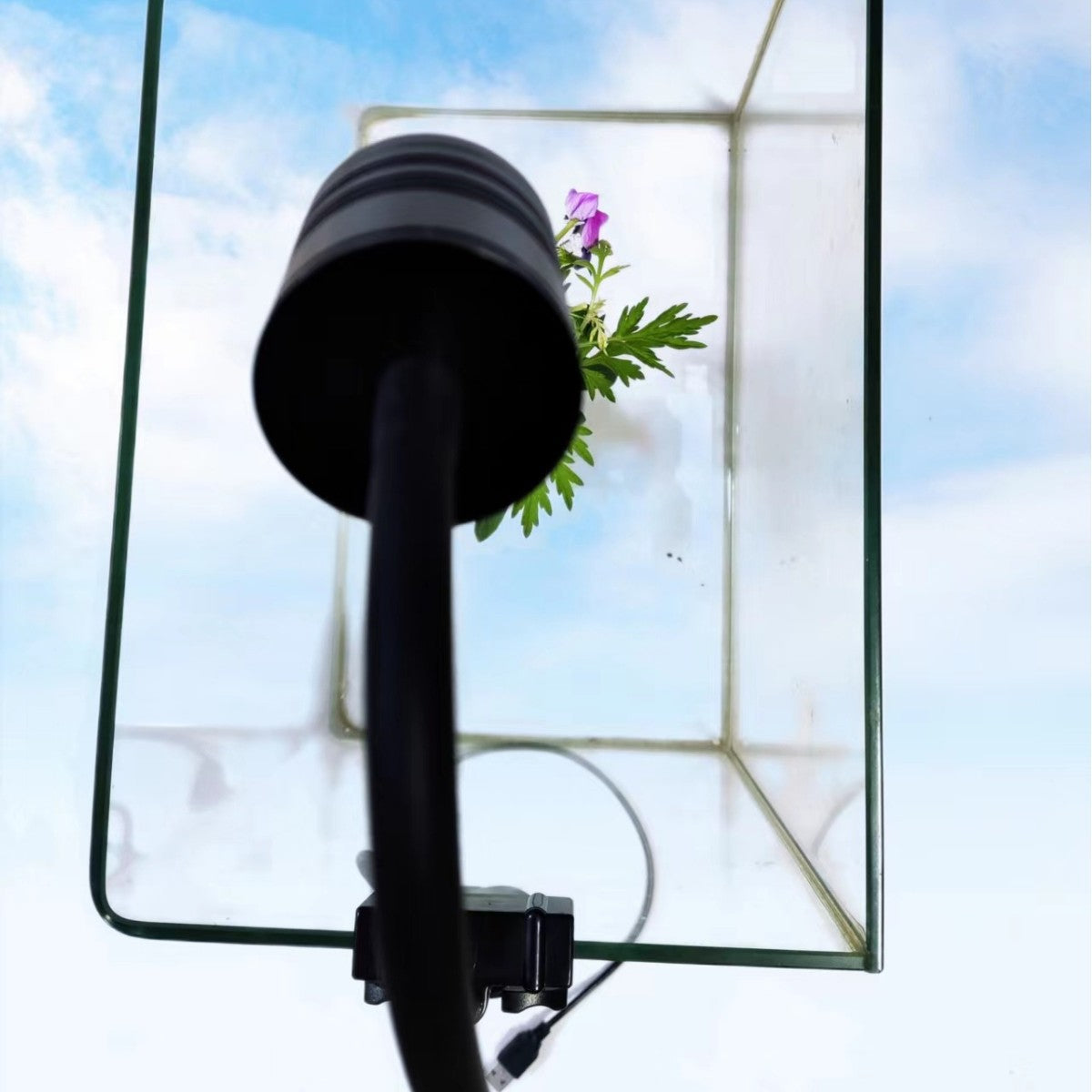 Éclairage des plantes aquatiques à amortissement cyclique pour les réservoirs de poissons