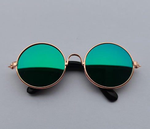 Lunettes de soleil pour chats