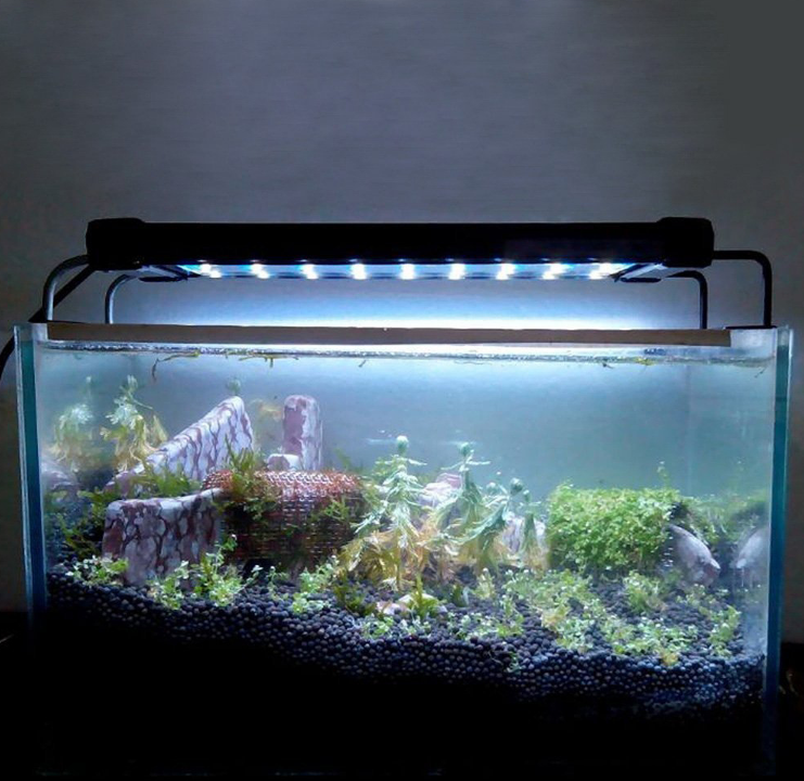 Aquarium conduit lampe d'éclairage de poisson d'eau douce Aquarium conduit léger poisson Aquarium Pet Supplie