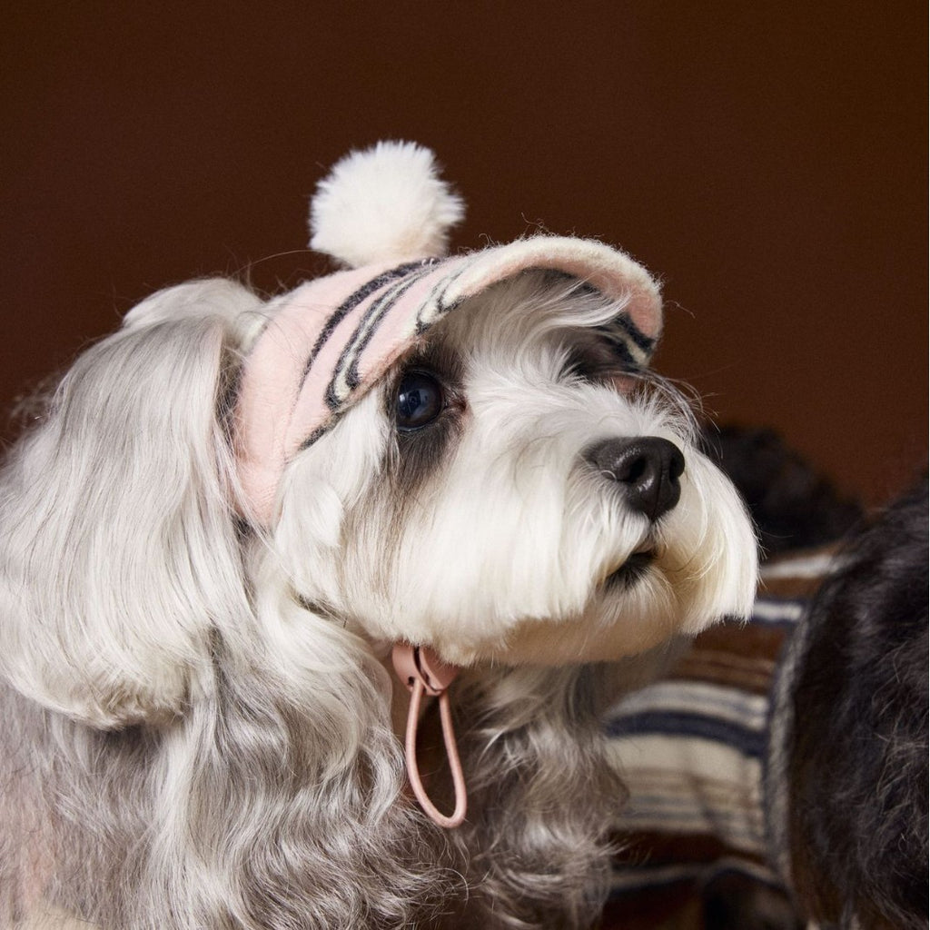 Accessoires pour animaux Chapeau de boule en fourrure rayée