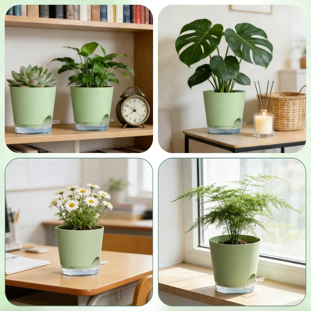 6 Pots de fleurs vertes avec fond transparent
