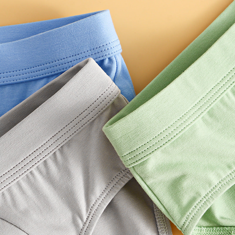 Slips en coton de mode pour homme