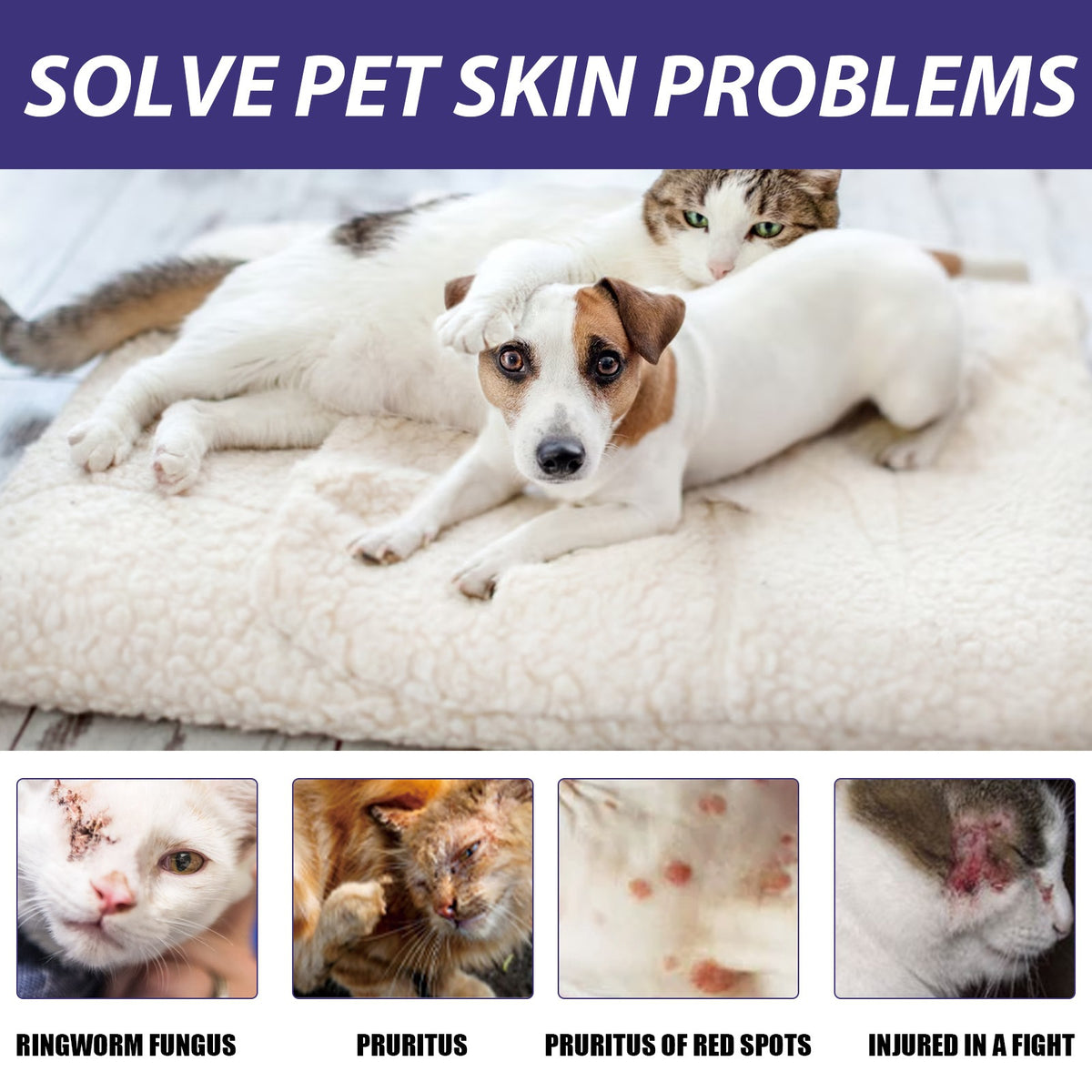 Eggbong soin des animaux Spray soin des chats et des chiens soin de la peau Spray soin de la peau