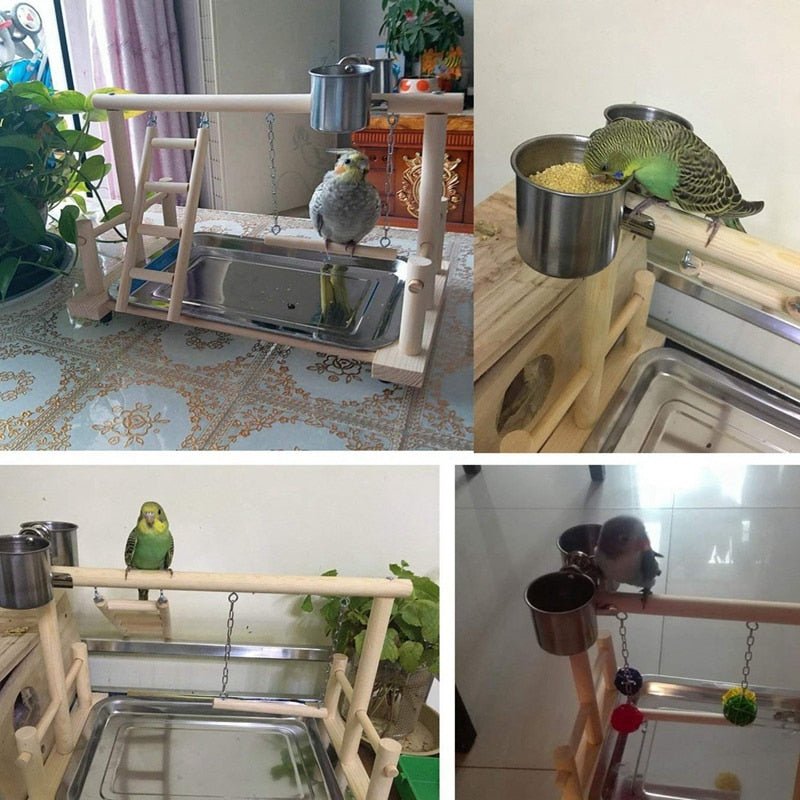 Support en bois pour perroquet à plancher de petite cockatiel