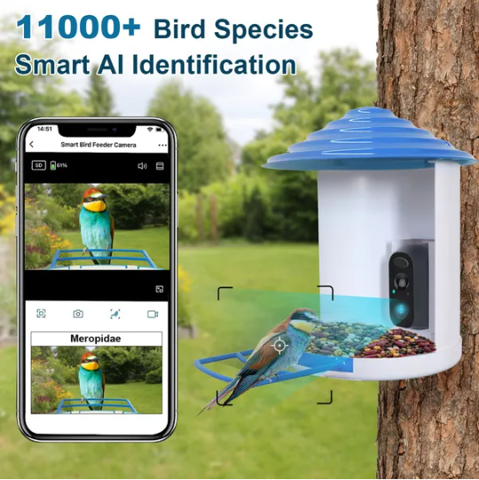 Smart Bird Feeder avec caméra solaire 1080P HD AI identifier PIR Motion Auto Capture V