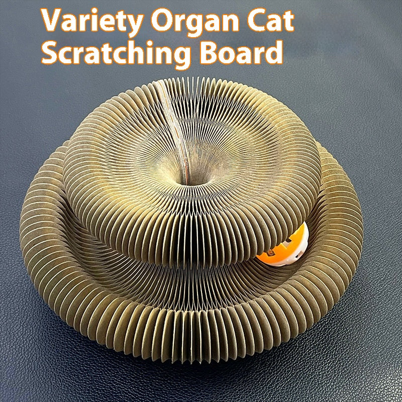 Organ Cat Scratch Board avec suspension magnétique balle pliable Changeable