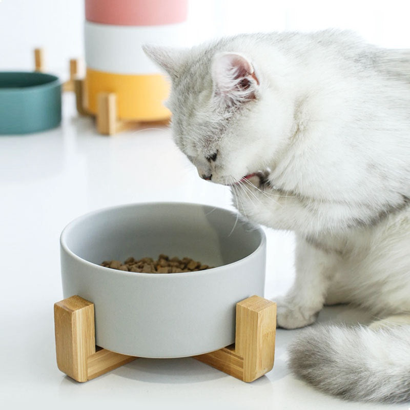 Solid Color Minimalist Accueil Utilisation Céramique Cat Food Feed Bowl