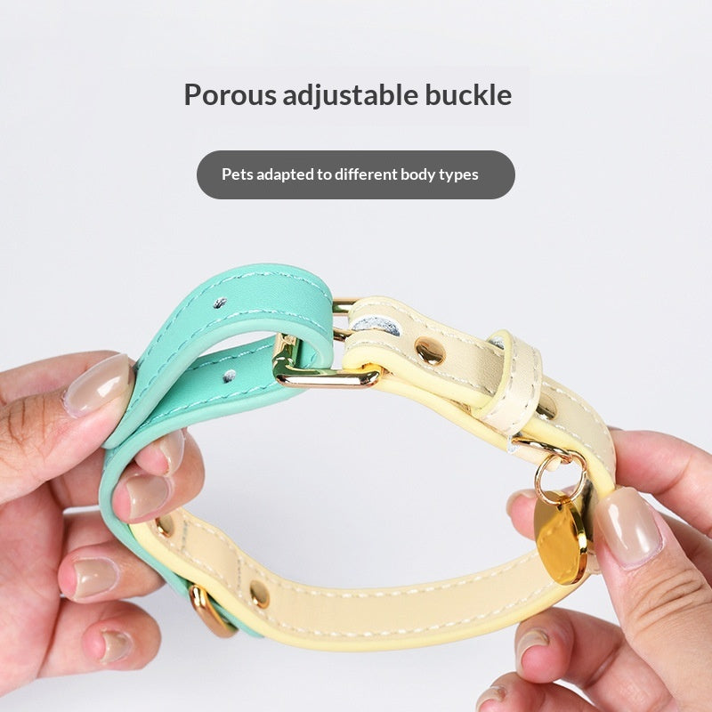 Collier en cuir pour chiens de taille petite et moyenne