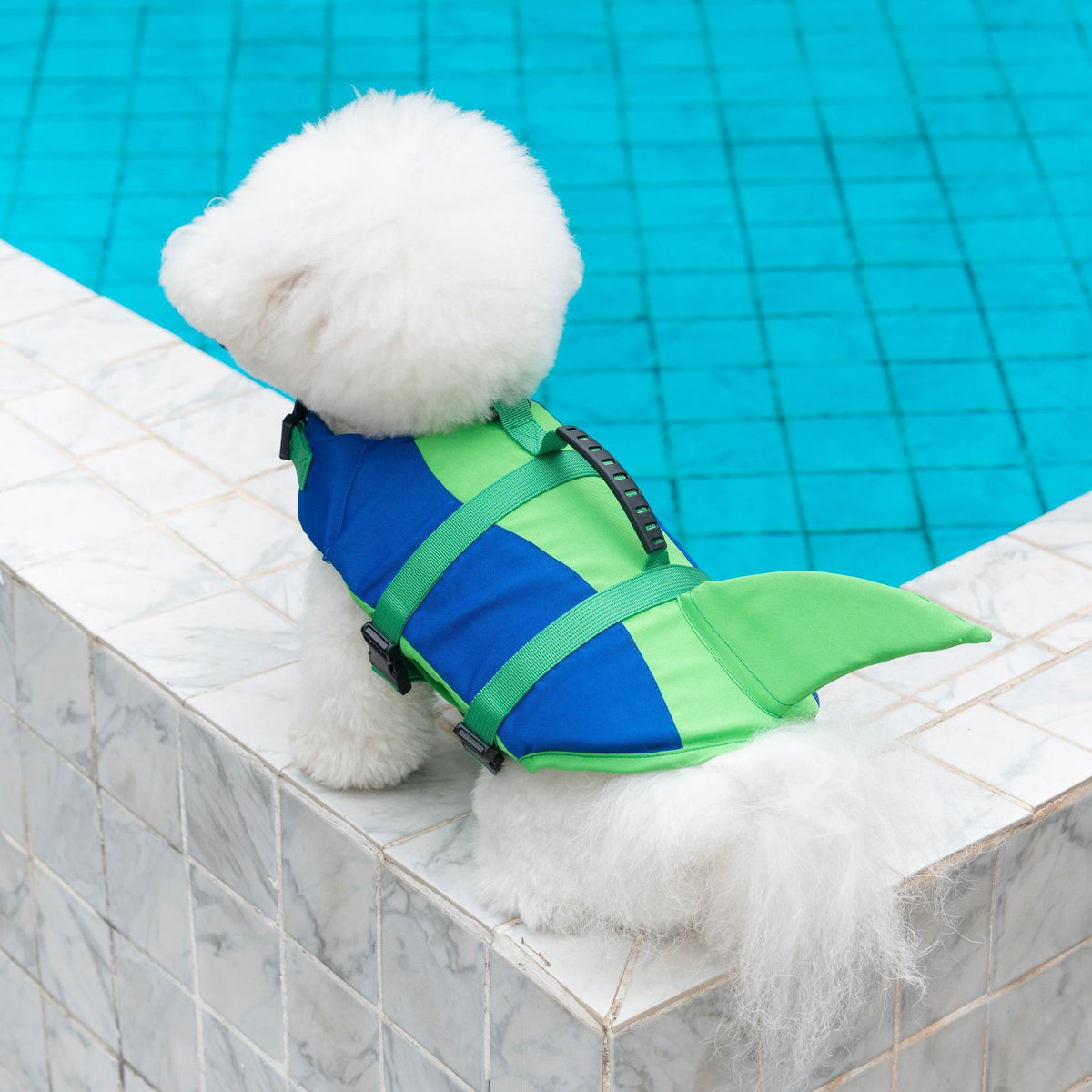 Veste de vie pour animaux Veste de vie pour chiens