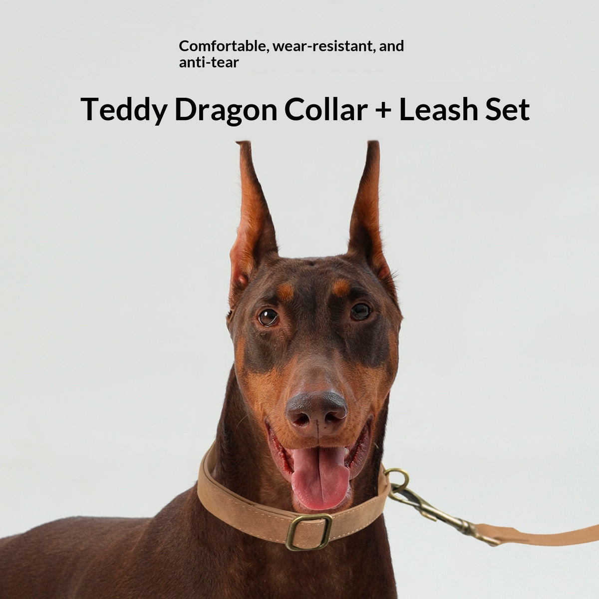 Chien Leash Pet Vintage Anti-rafale Grand Moyen