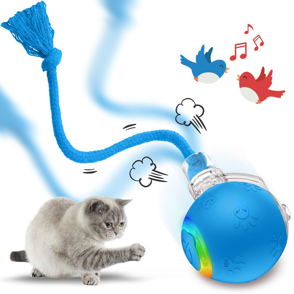 Balle de jouets pour animaux intelligents avec une corde pour chats