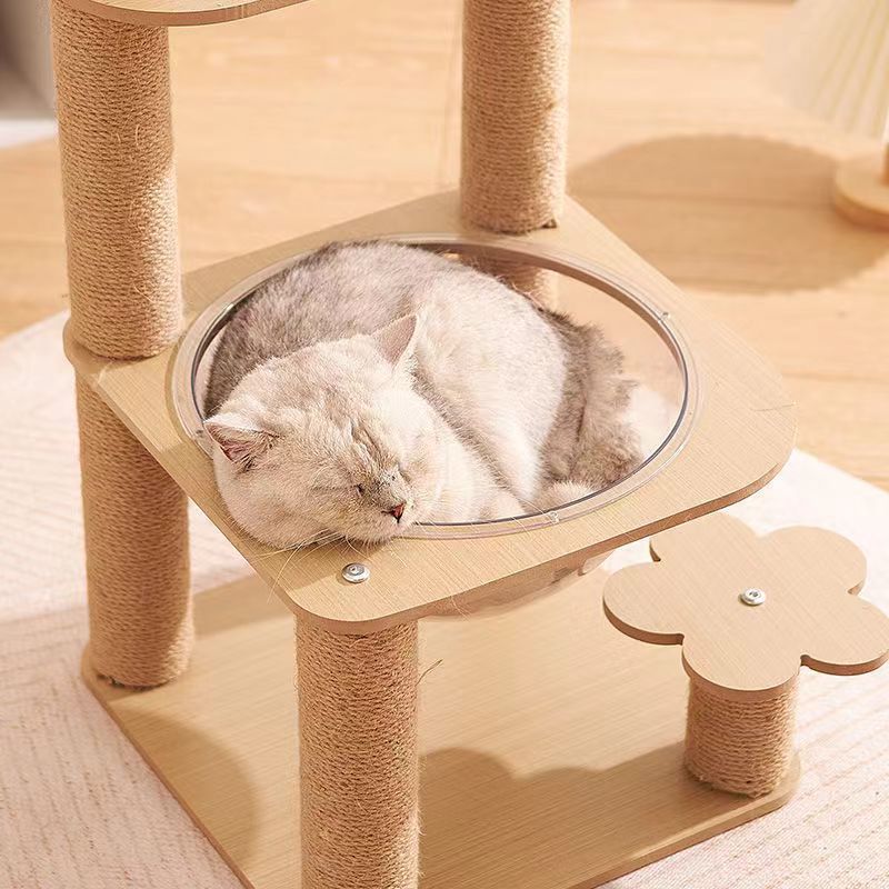Balda d'espace de lit Cat universel tout-saison