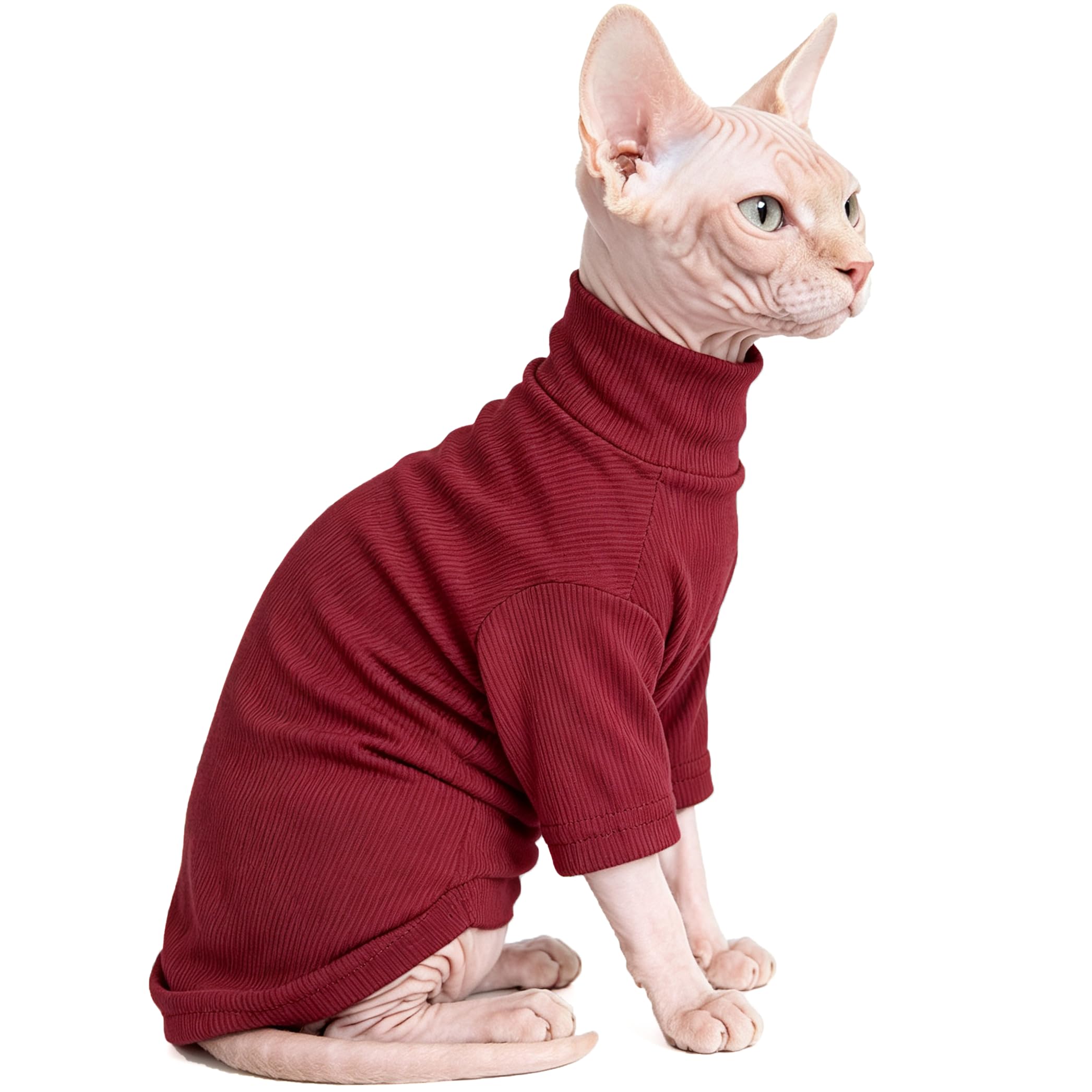 Sphynx Chats Vêtements Chats sans cheveux Chemise Col tortue Sphynx Vêtements Kitten Chandails T-shirts