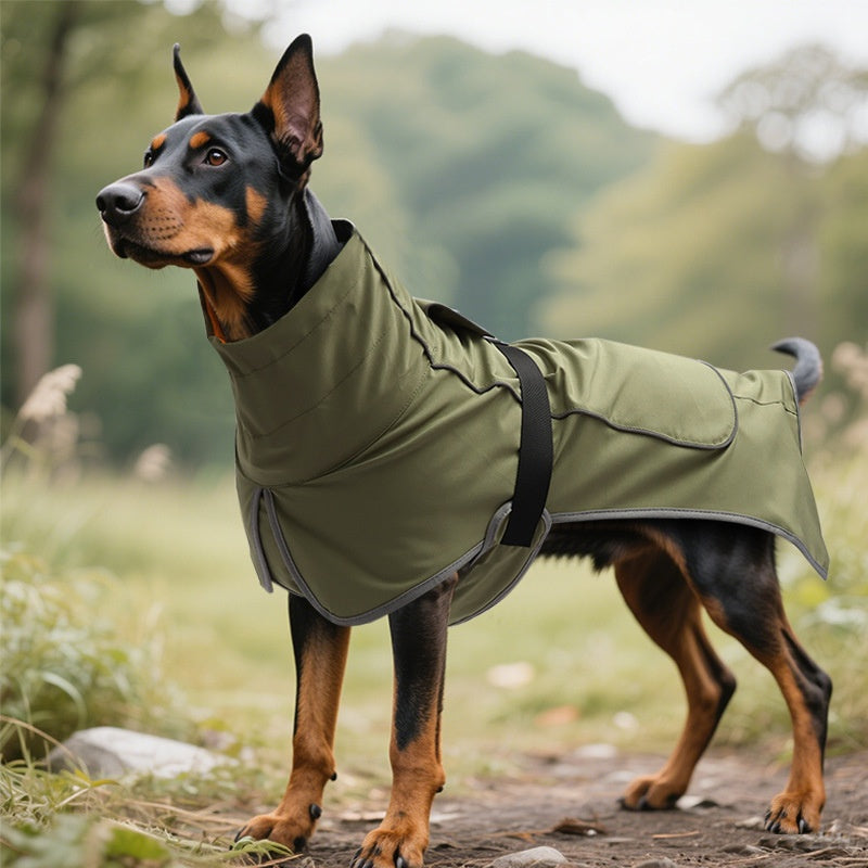 Veste de coquille de chien étanche Et des vêtements à double usage imperméables