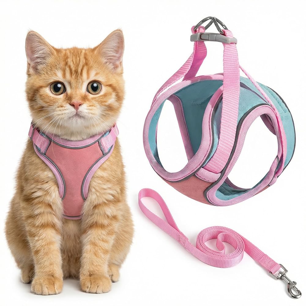 Cat harness and leash