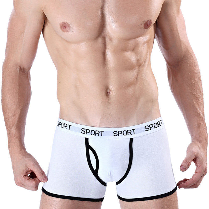 Slip de boxeur de sport en coton pour hommes