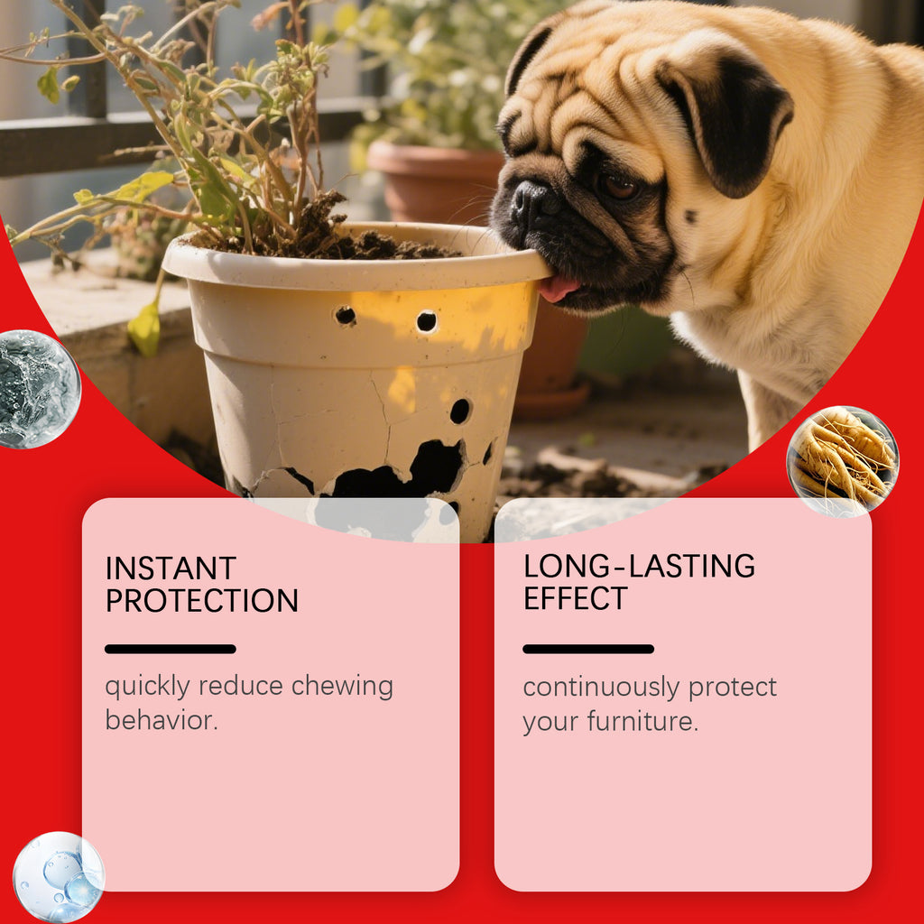Eggbong Dog Anti-Chew Spray Meubles Protection Chien de chien Anti-Bite Training Spray amer