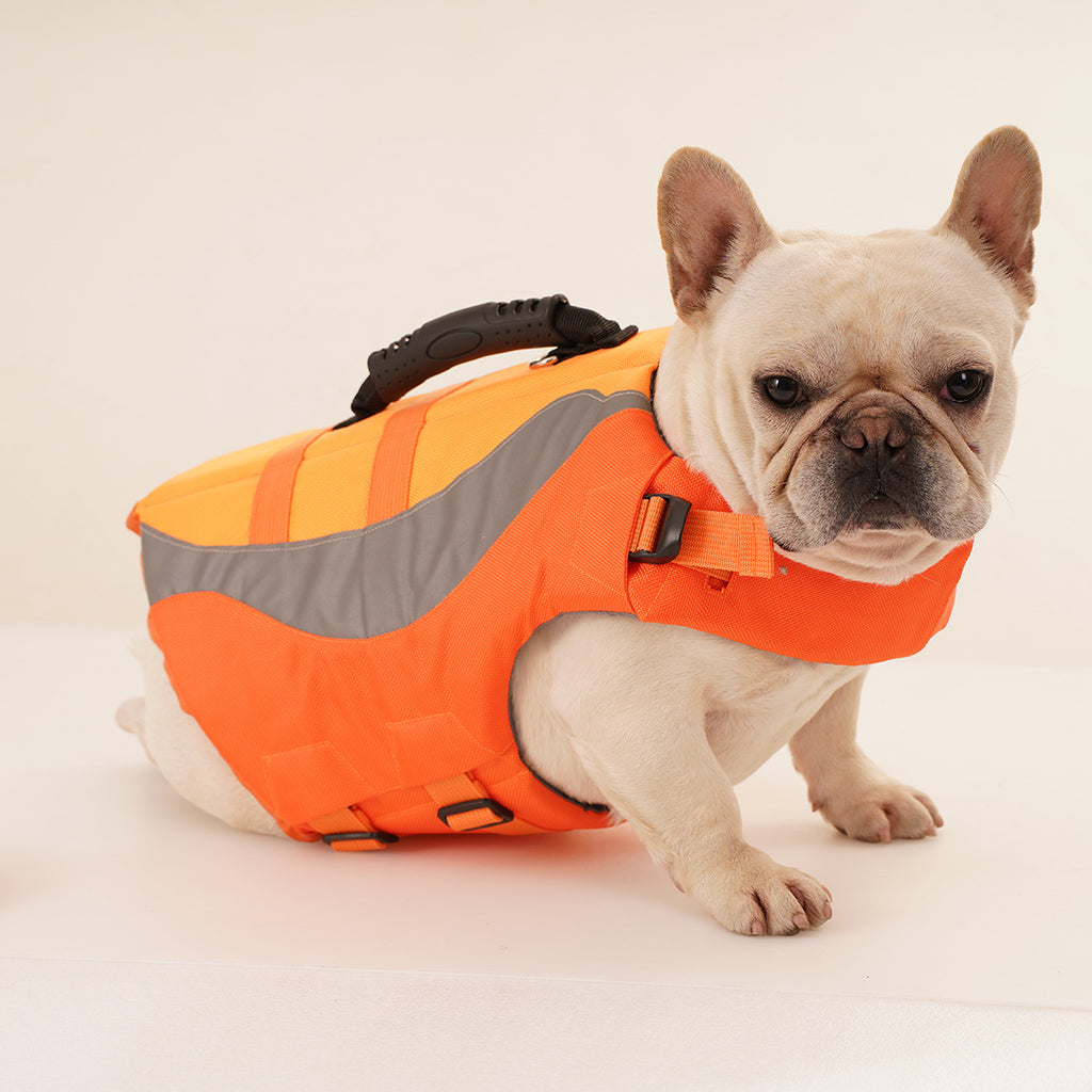 Maillot de bain de chien réfléchissant Veste de vie
