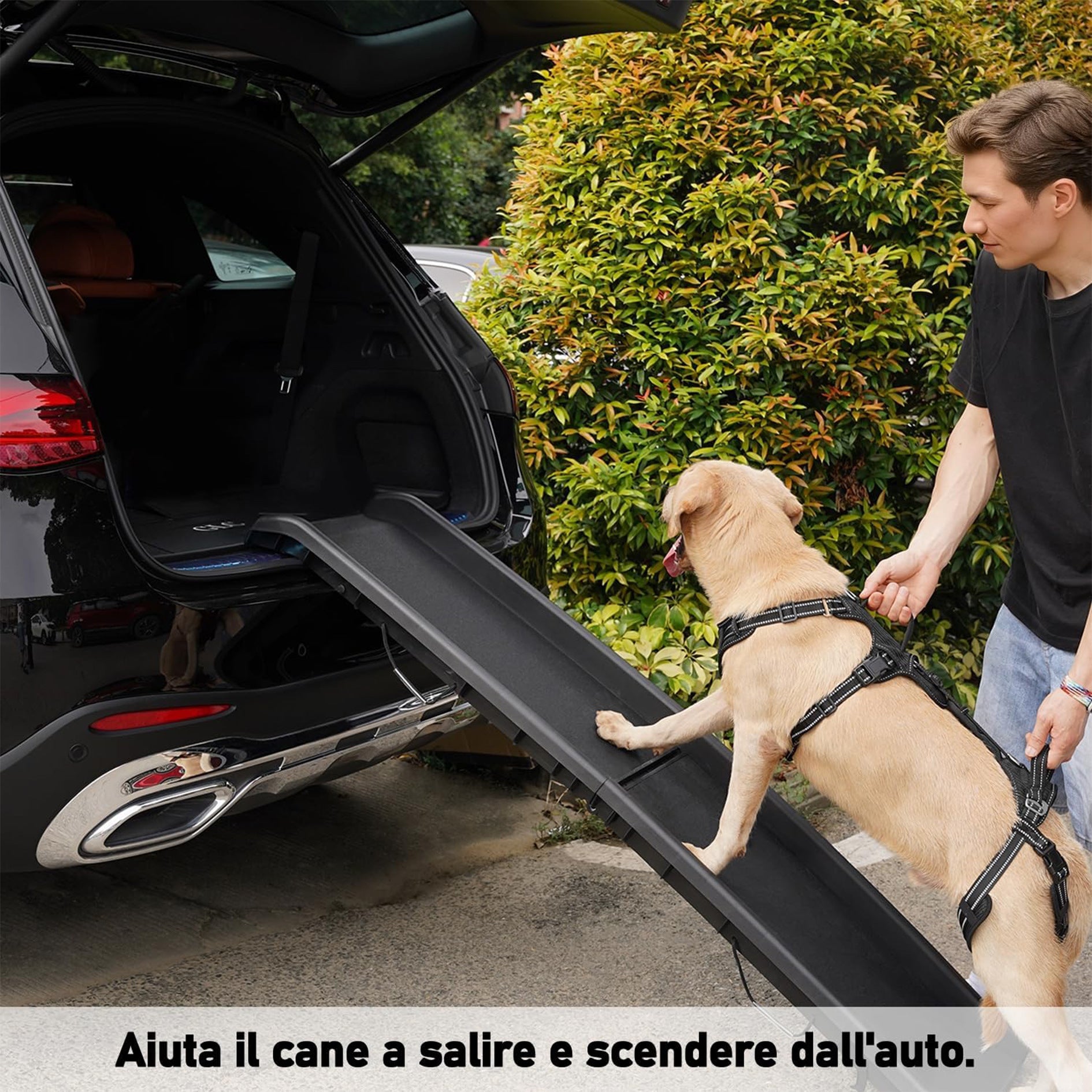 Harnais d'aide aux animaux de compagnie le plus vendu