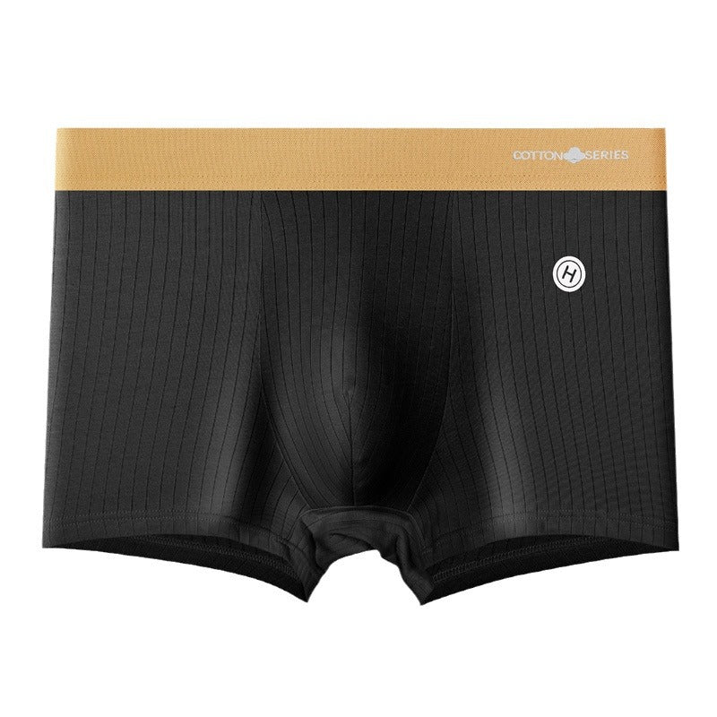 Sous-vêtements Homme Graphène Antibactérien Coton Sans couture
