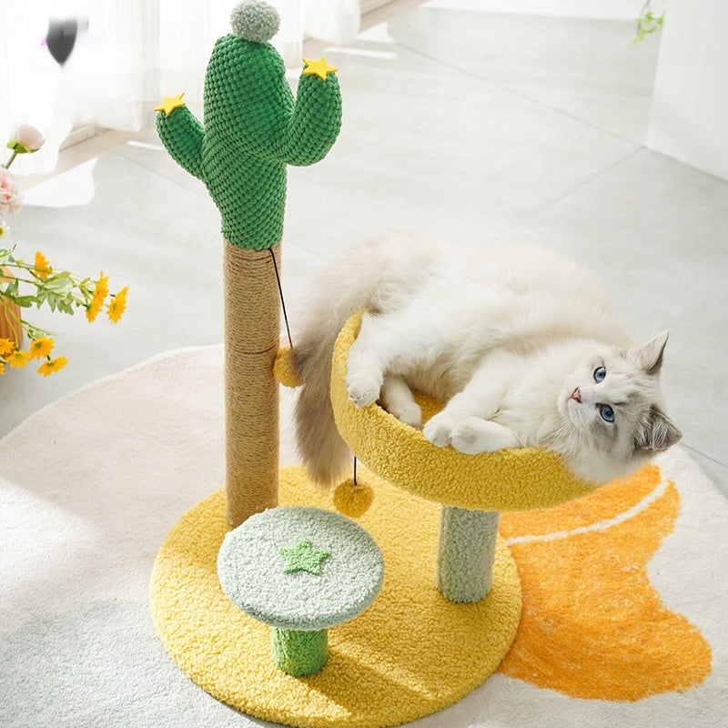 Cactus cadre d'escalade chat arbre chat jouet