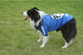 Vêtements de chien Chemise de chien moyenne et grande