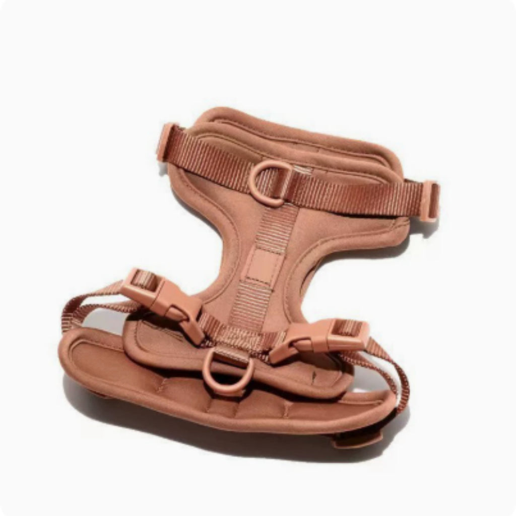 Jeu de laisses pour chiens anti-salissure de collier pour animaux de compagnie Waldonex