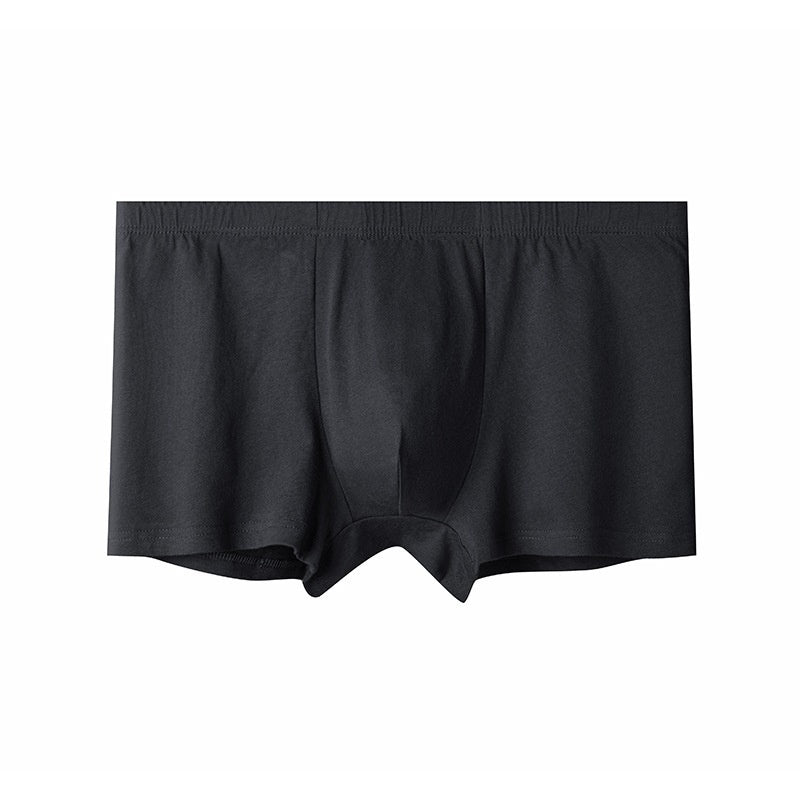 Briefs pour hommes pour hommes d'âge moyen et plus âgés