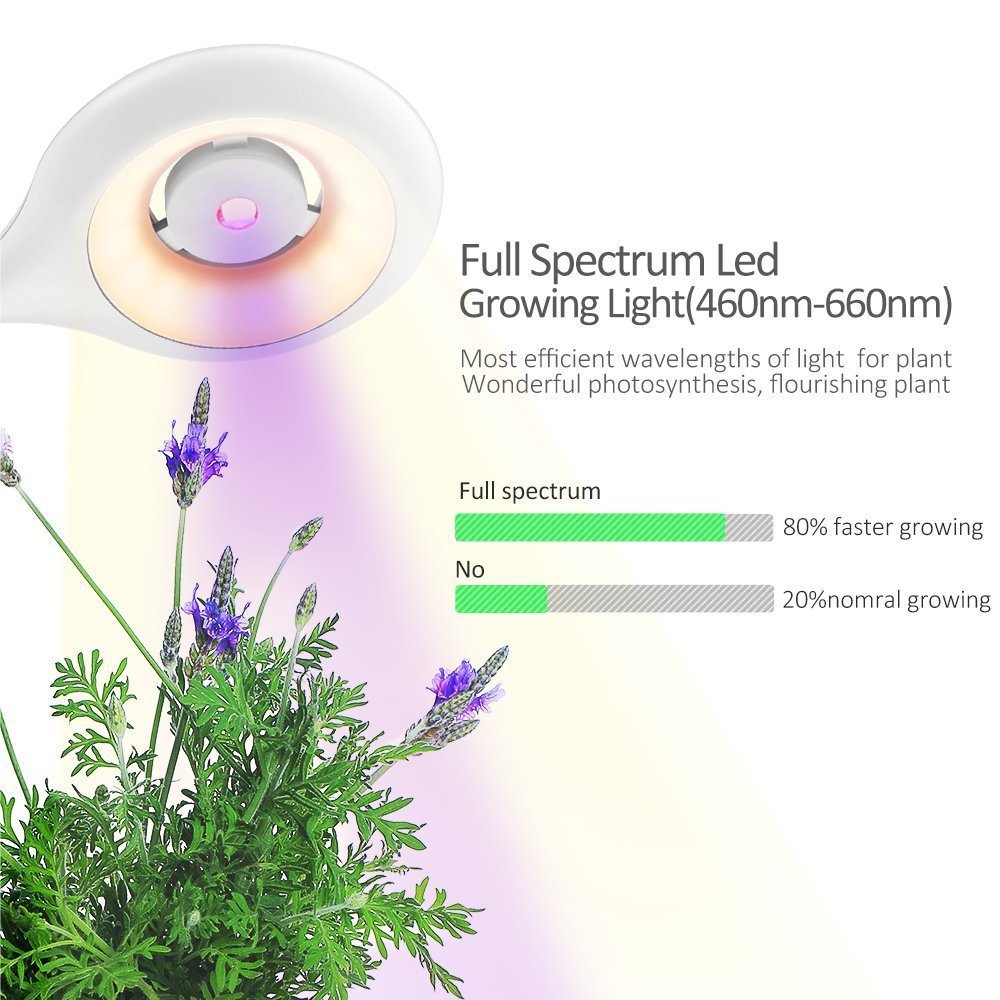 Boîte de croissance intelligente avec lampe de table
