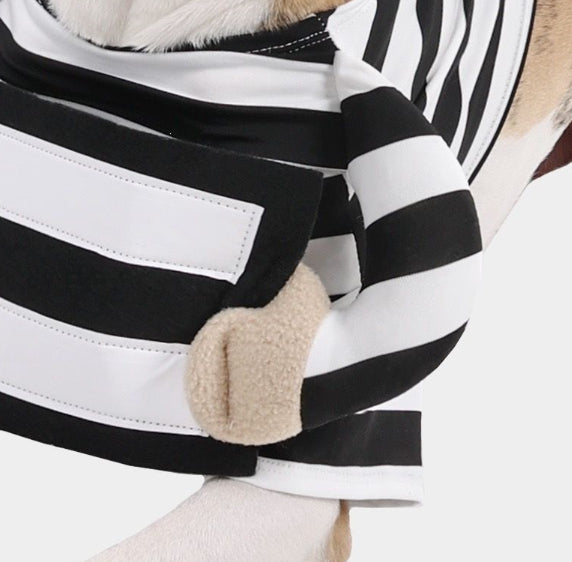 Costume de prisonnier de chien d'Halloween personnalisé