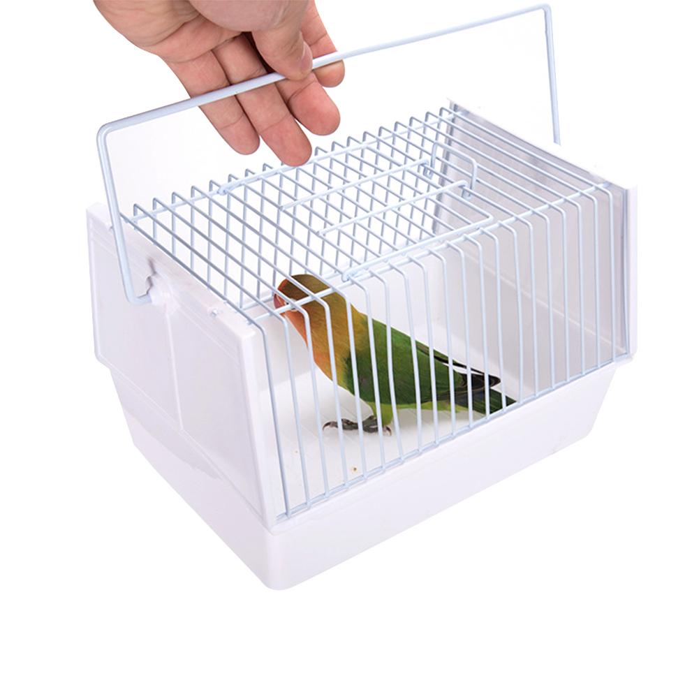 Hors de la cage des oiseaux