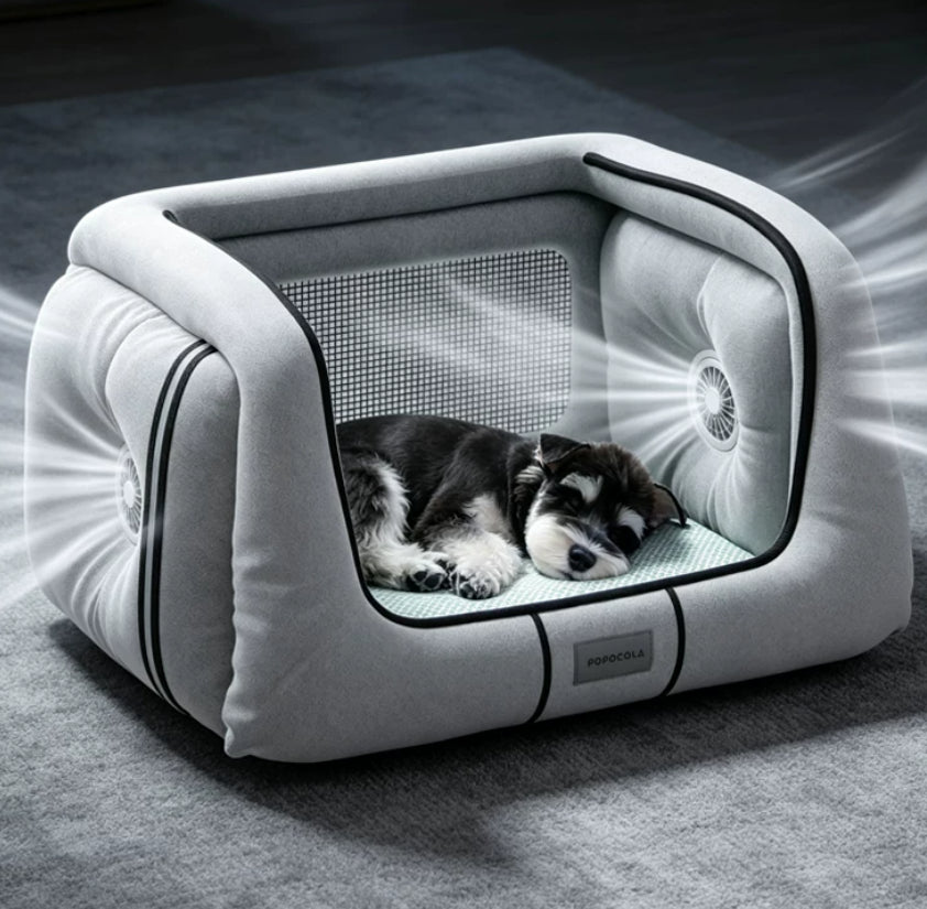 Cool cats and dogs in an air-conditioned room during summer