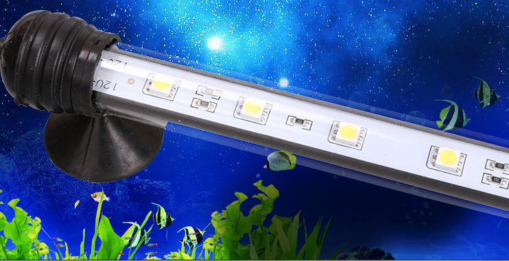 Aquarium-box projecteurs met en lumière la plongée aquatique festival de lanterne étanche et paysaque