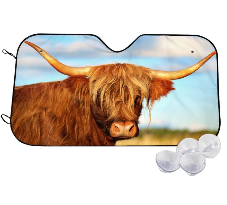 Voiture Sun Shield Arrêt avant écran solaire Chaleur Isolation Non-punching Rideau télescopique