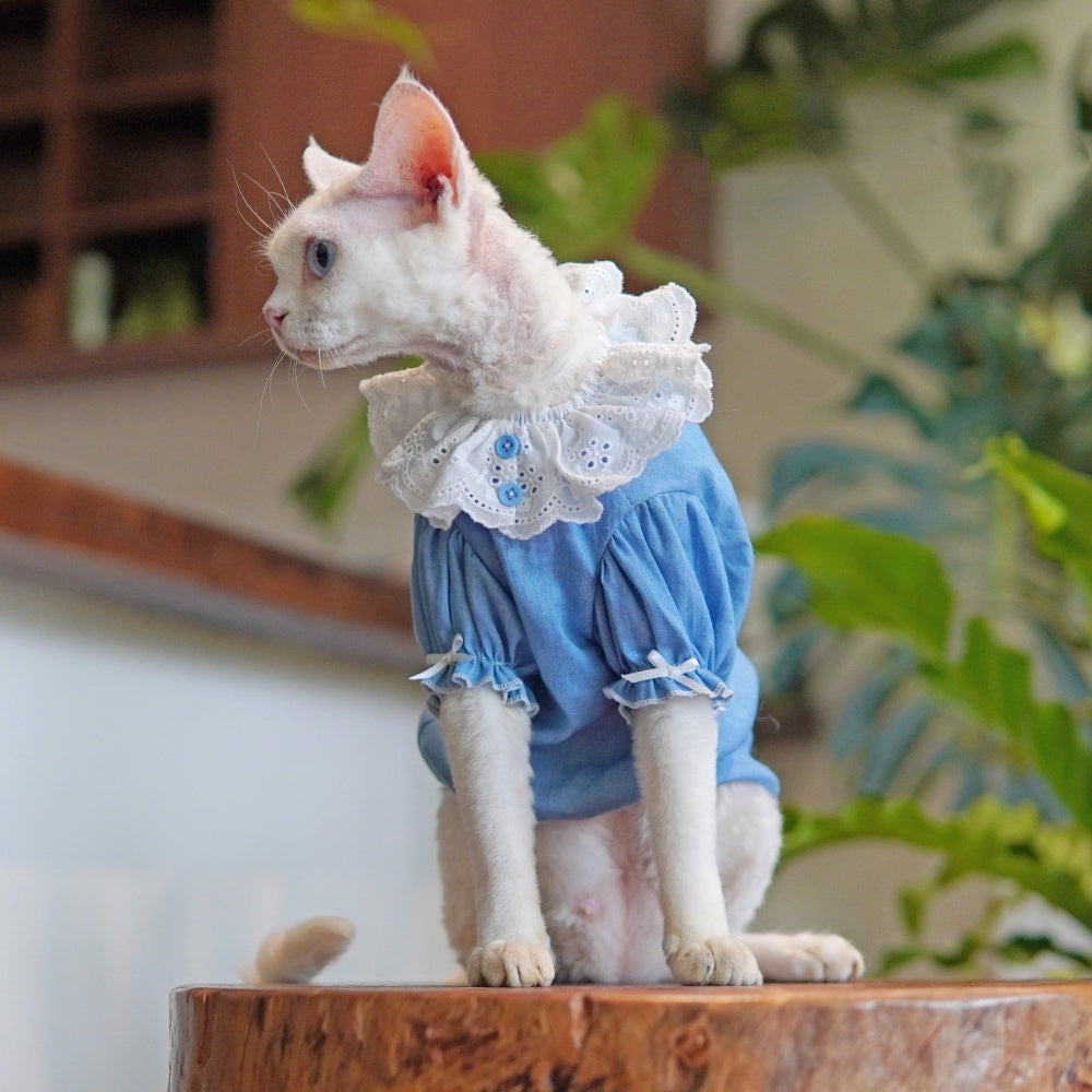 Sphynx Cat robe bleu d'été avec collier de dentelle légère peau-friendly Apparel pour cheveux