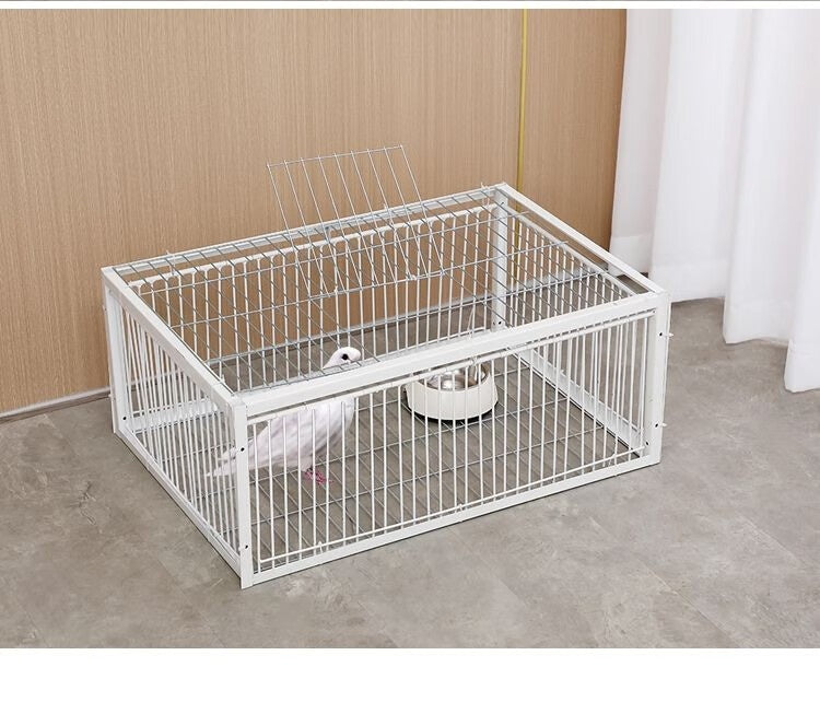 Cage de retour chiffré de porte en réseau actif Pigeon