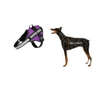 Harnais LeashVest-styl pour chiens moyens à grands