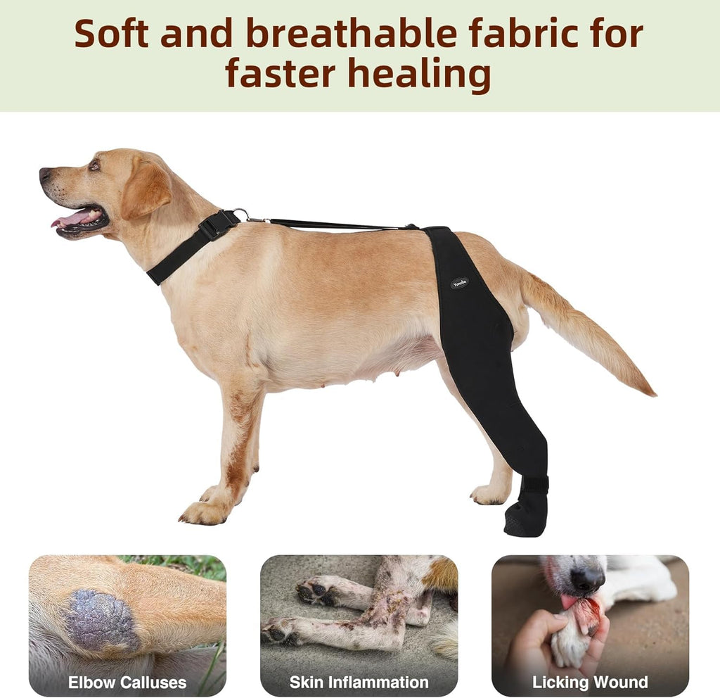 Chaussettes pour chiens pour empêcher les pattes de câlin