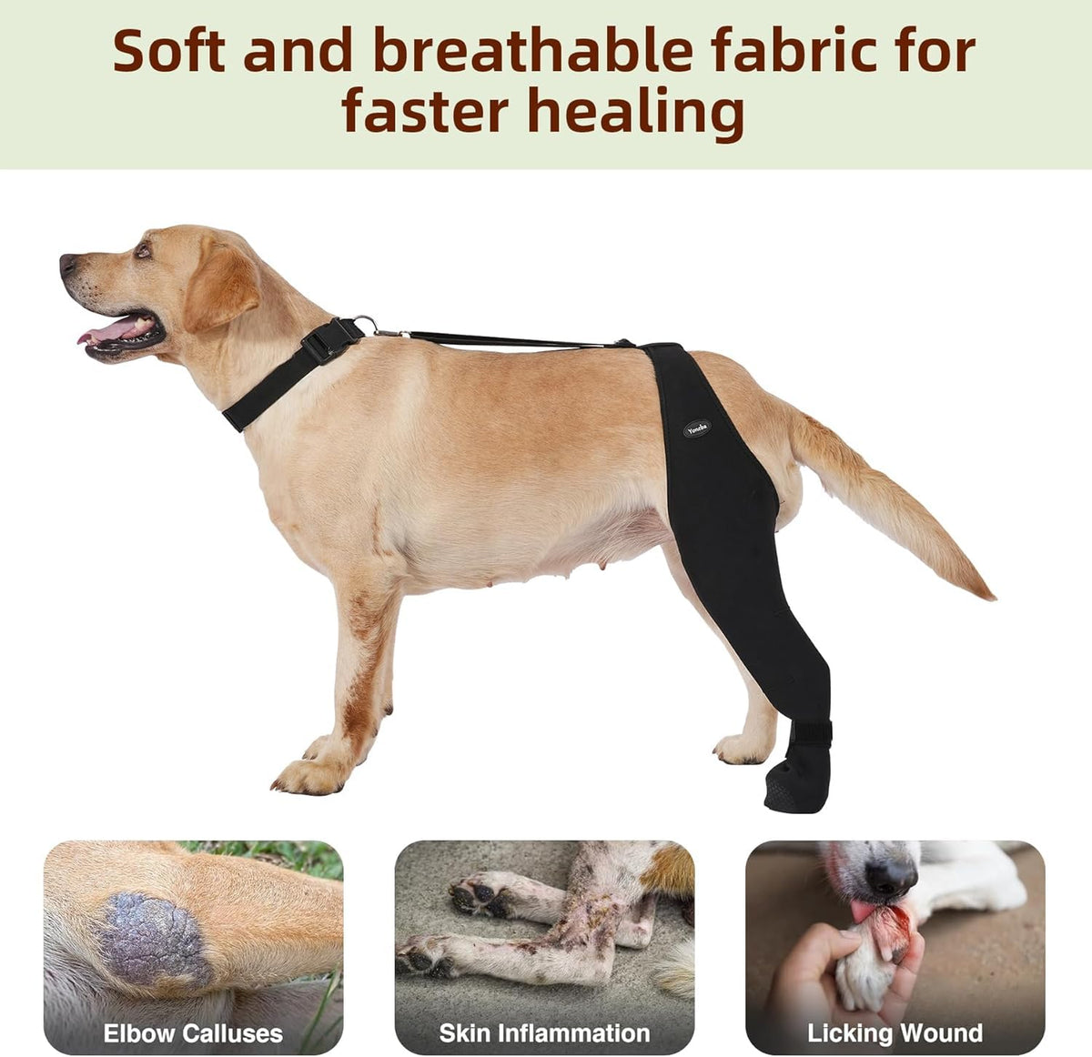 Chaussettes pour chiens pour empêcher les pattes de câlin
