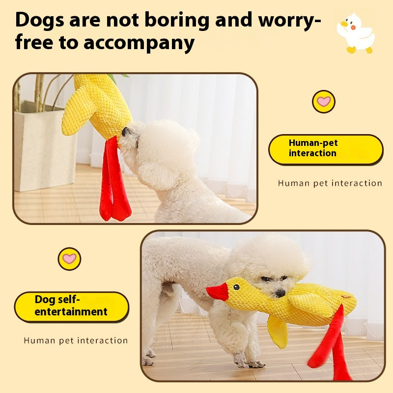 Soulagement Artefact Stuffy Pet Puppy Sound Molar Longue durée